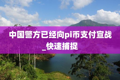 中國警方已經(jīng)向pi幣支付宣戰(zhàn)_快速捕捉
