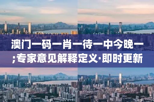 澳門一碼一肖一待一中今晚一;專家意見解釋定義·即時更新