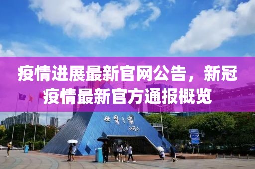 疫情進展最新官網(wǎng)公告，新冠疫情最新官方通報概覽