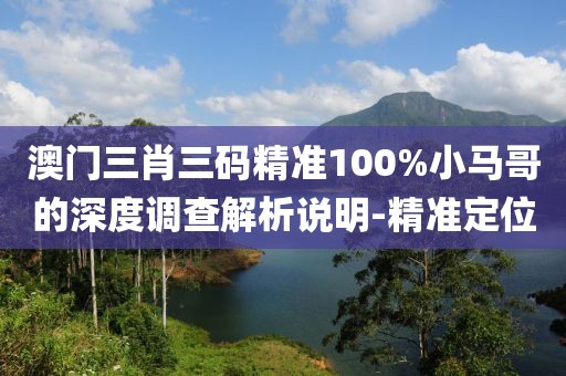 澳門三肖三碼精準(zhǔn)100%小馬哥的深度調(diào)查解析說明-精準(zhǔn)定位