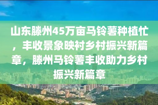山東滕州45萬畝馬鈴薯種植忙，豐收景象映襯鄉(xiāng)村振興新篇章，滕州馬鈴薯豐收助力鄉(xiāng)村振興新篇章