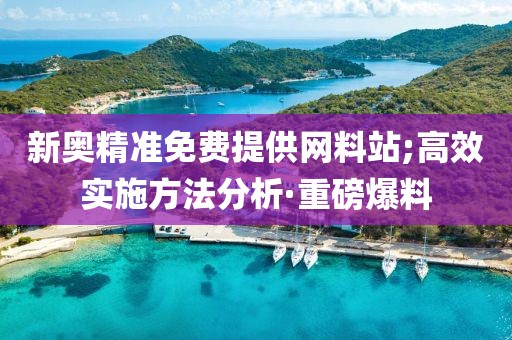 新奧精準(zhǔn)免費(fèi)提供網(wǎng)料站;高效實(shí)施方法分析·重磅爆料