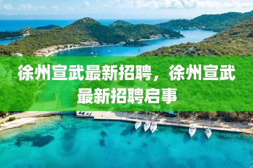 徐州宣武最新招聘，徐州宣武最新招聘啟事