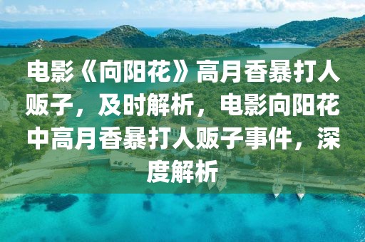 電影《向陽(yáng)花》高月香暴打人販子，及時(shí)解析，電影向陽(yáng)花中高月香暴打人販子事件，深度解析