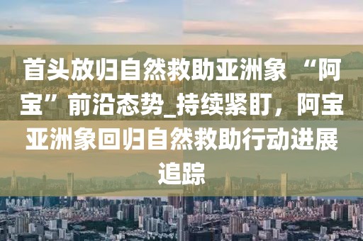 首頭放歸自然救助亞洲象 “阿寶”前沿態(tài)勢_持續(xù)緊盯，阿寶亞洲象回歸自然救助行動(dòng)進(jìn)展追蹤