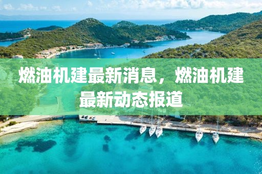 燃油機建最新消息，燃油機建最新動態(tài)報道