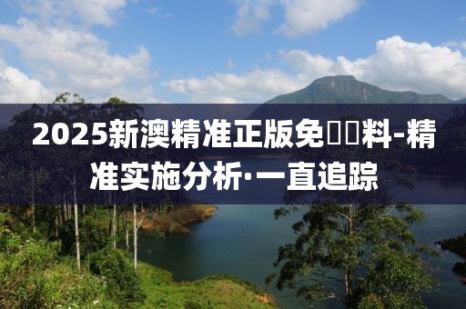 2025新澳精準(zhǔn)正版免費資料-精準(zhǔn)實施分析