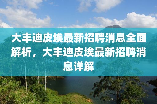 大豐迪皮埃最新招聘消息全面解析，大豐迪皮埃最新招聘消息詳解