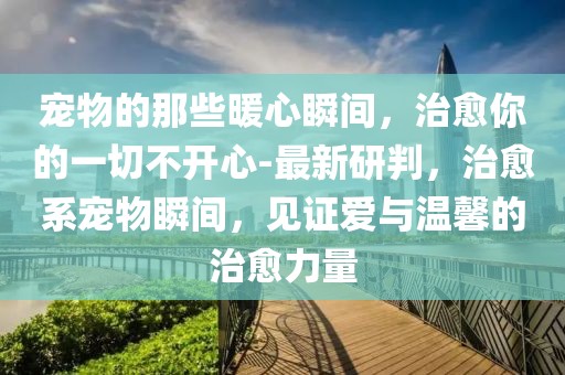 寵物的那些暖心瞬間，治愈你的一切不開(kāi)心-最新研判，治愈系寵物瞬間，見(jiàn)證愛(ài)與溫馨的治愈力量