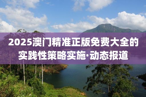 2025澳門精準正版免費大全的實踐性策略實施·動態(tài)報道