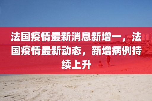 法國疫情最新消息新增一，法國疫情最新動態(tài)，新增病例持續(xù)上升