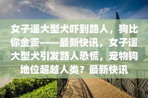 女子遛大型犬嚇到路人，狗比你金貴——最新快訊，女子遛大型犬引發(fā)路人恐慌，寵物狗地位超越人類？最新快訊