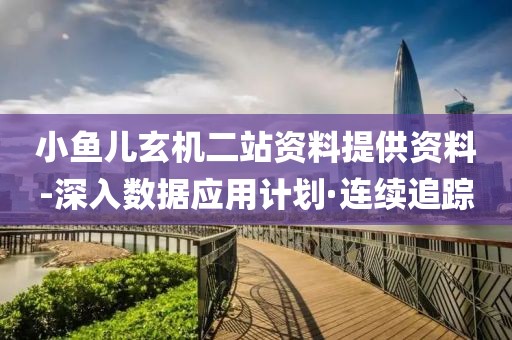 小魚兒玄機(jī)二站資料提供資料-深入數(shù)據(jù)應(yīng)用計(jì)劃·連續(xù)追蹤
