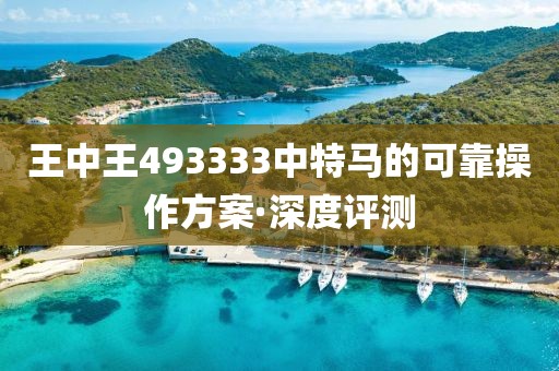 王中王493333中特馬的可靠操作方案·深度評測