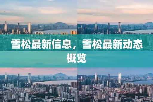 雪松最新信息，雪松最新動態(tài)概覽