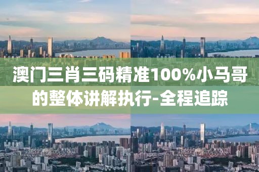 澳門三肖三碼精準(zhǔn)100%小馬哥的整體講解執(zhí)行-全程追蹤