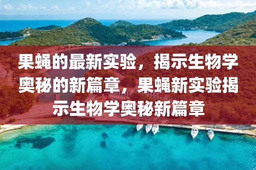 果蠅的最新實驗，揭示生物學(xué)奧秘的新篇章，果蠅新實驗揭示生物學(xué)奧秘新篇章