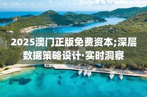2025澳門(mén)正版免費(fèi)資本;深層數(shù)據(jù)策略設(shè)計(jì)·實(shí)時(shí)洞察