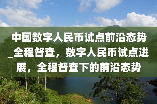 中國數(shù)字人民幣試點前沿態(tài)勢_全程督查，數(shù)字人民幣試點進(jìn)展，全程督查下的前沿態(tài)勢