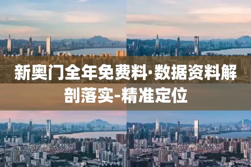 新奧門全年免費(fèi)料·數(shù)據(jù)資料解剖落實(shí)-精準(zhǔn)定位