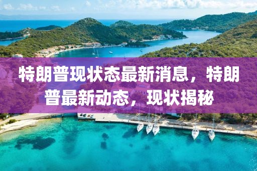 特朗普現(xiàn)狀態(tài)最新消息，特朗普最新動態(tài)，現(xiàn)狀揭秘
