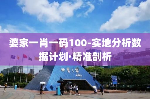 婆家一肖一碼100-實(shí)地分析數(shù)據(jù)計(jì)劃·精準(zhǔn)剖析