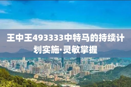 王中王493333中特馬的持續(xù)計劃實施·靈敏掌握