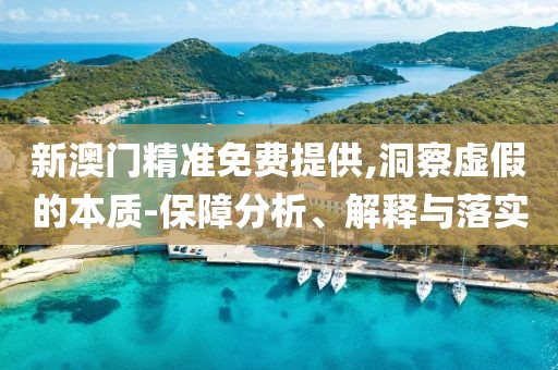 新澳門(mén)精準(zhǔn)免費(fèi)提供,洞察虛假的本質(zhì)-保障分析、解釋與落實(shí)