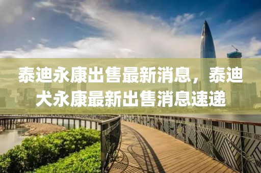 泰迪永康出售最新消息，泰迪犬永康最新出售消息速遞