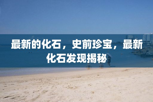 最新的化石，史前珍寶，最新化石發(fā)現(xiàn)揭秘