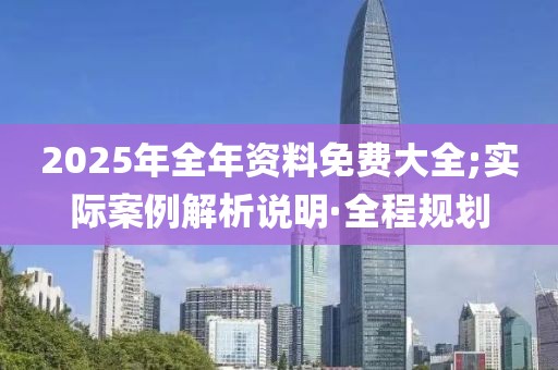 2025年全年資料免費(fèi)大全;實(shí)際案例解析說明·全程規(guī)劃