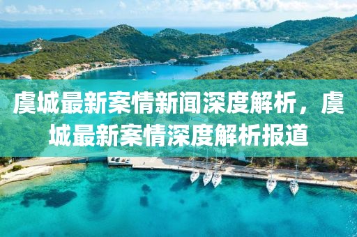 虞城最新案情新聞深度解析，虞城最新案情深度解析報道