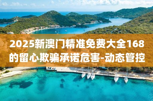2025新澳門精準免費大全168的留心欺騙承諾危害-動態(tài)管控
