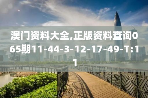 澳門資料大全,正版資料查詢065期11-44-3-12-17-49-T:11