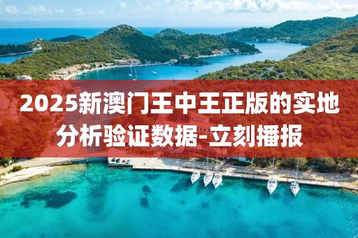 2025新澳門王中王正版的實(shí)地分析驗(yàn)證數(shù)據(jù)-立刻播報(bào)