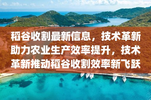 稻谷收割最新信息，技術革新助力農(nóng)業(yè)生產(chǎn)效率提升，技術革新推動稻谷收割效率新飛躍