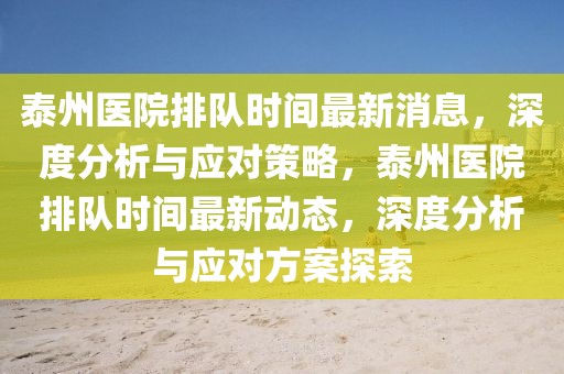 泰州醫(yī)院排隊(duì)時(shí)間最新消息，深度分析與應(yīng)對(duì)策略，泰州醫(yī)院排隊(duì)時(shí)間最新動(dòng)態(tài)，深度分析與應(yīng)對(duì)方案探索