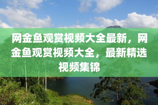 網(wǎng)金魚觀賞視頻大全最新，網(wǎng)金魚觀賞視頻大全，最新精選視頻集錦