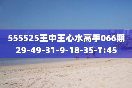555525王中王心水高手066期29-49-31-9-18-35-T:45