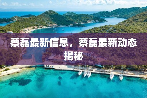 蔡磊最新信息，蔡磊最新動態(tài)揭秘
