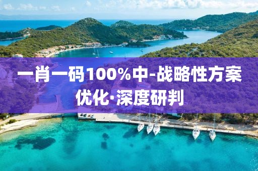 一肖一碼100%中-戰(zhàn)略性方案優(yōu)化·深度研判