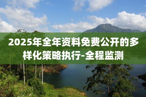 2025年全年資料免費(fèi)公開的多樣化策略執(zhí)行-全程監(jiān)測(cè)