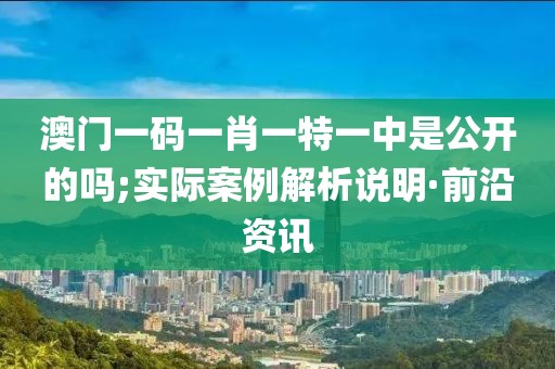澳門一碼一肖一特一中是公開的嗎;實際案例解析說明·前沿資訊