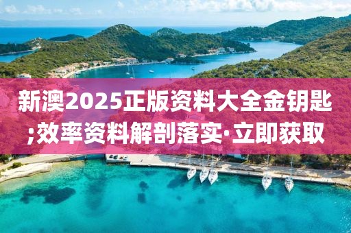 新澳2025正版資料大全金鑰匙;效率資料解剖落實(shí)·立即獲取
