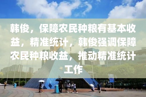 韓俊，保障農(nóng)民種糧有基本收益，精準(zhǔn)統(tǒng)計(jì)，韓俊強(qiáng)調(diào)保障農(nóng)民種糧收益，推動(dòng)精準(zhǔn)統(tǒng)計(jì)工作