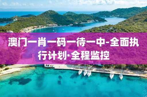 澳門一肖一碼一待一中-全面執(zhí)行計劃·全程監(jiān)控
