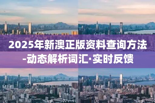 2025年新澳正版資料查詢方法-動態(tài)解析詞匯·實時反饋