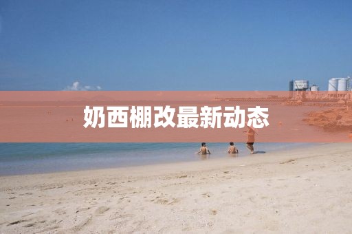 奶西棚改最新動(dòng)態(tài)