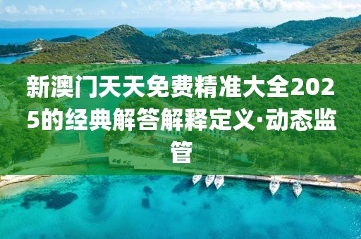 新澳門天天免費(fèi)精準(zhǔn)大全2025的經(jīng)典解答解釋定義·動態(tài)監(jiān)管