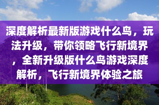 深度解析最新版游戲什么鳥，玩法升級，帶你領略飛行新境界，全新升級版什么鳥游戲深度解析，飛行新境界體驗之旅